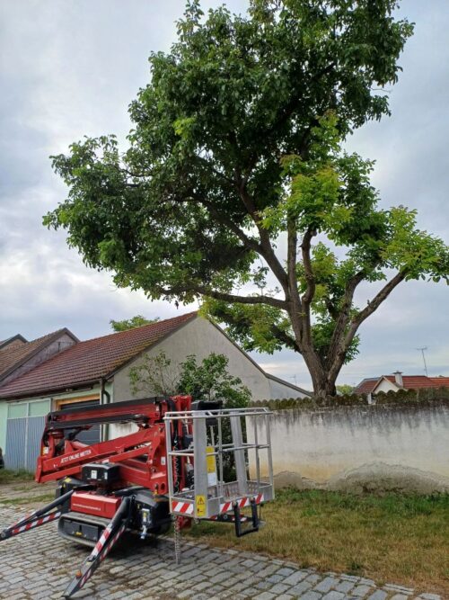 Lightlift 20.10 – Bild 8
